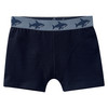 5 Jungen Boxer aus Bio-Baumwolle