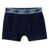 5 Jungen Boxer aus Bio-Baumwolle