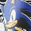 Sonic T-Shirt mit Front-Print