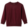 Jungen Sweatshirt mit Stickerei