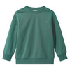 Jungen Sweatshirt mit Stickerei