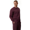 Heren-sweatshirt van biologisch katoen