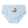 5 PAW Patrol Slips mit Prints