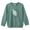 Jungen Sweatshirt mit Print dunkelgrün