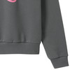 The Powerpuff Girls Sweatshirt mit Print