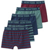 5 Jungen Boxer im Set