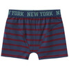 5 Jungen Boxer im Set