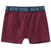 5 Jungen Boxer im Set