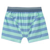 5 Jungen Boxer im Set