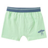 5 Jungen Boxer im Set