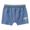 5 Jungen Boxer im Set