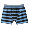5 Jungen Boxer im Set