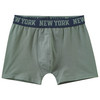5 Jungen Boxer im Set