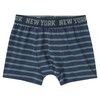5 Jungen Boxer im Set