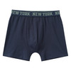 5 Jungen Boxer im Set