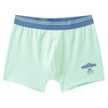 5 Jungen Boxer im Set