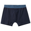 3 Jungen Boxer im Set