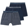 3 Jungen Boxer mit Webbund