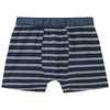 3 Jungen Boxer mit Webbund