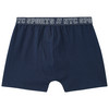 3 Jungen Boxer mit Webbund