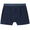 3 Jungen Boxer mit Webbund