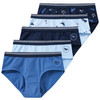 5 Mädchen Pantys mit Pferde-Motiven