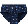 5 Mädchen Pantys mit Pferde-Motiven