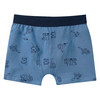 5 Jungen Boxer mit elastischem Webbund