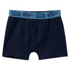 5 Jungen Boxer mit elastischem Webbund