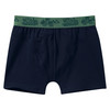 5 Jungen Boxer mit elastischem Webbund