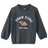 Baby Langarmshirt mit Dino-Applikation