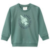 Jungen Sweatshirt mit Print