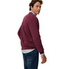 Herren Sweatshirt mit Flock-Print