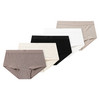 5 Damen Shorts aus Baumwolle