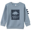 Jungen Sweatshirt mit Dino-Motiv