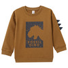 Jungen Sweatshirt mit Dino-Motiv braun