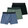 3 Jungen Boxer mit Webbund