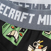 2 Minecraft Boxer im Set
