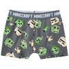 2 Minecraft Boxer im Set