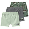 3 Jungen Boxer mit Auto-Prints