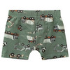 5 Jungen Boxer