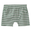 5 Jungen Boxer