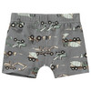 5 Jungen Boxer
