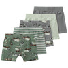 5 Jungen Boxer