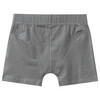 5 Jungen Boxer