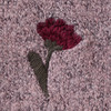 Baby Strickpullover mit Blumen-Stickerei