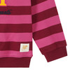 Harry Potter Sweatshirt mit Streifen