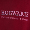 Harry Potter Hoodie mit Rücken-Print