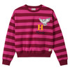 Harry Potter Sweatshirt mit Streifen