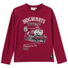 Harry Potter Langarmshirt mit Print dunkelrot